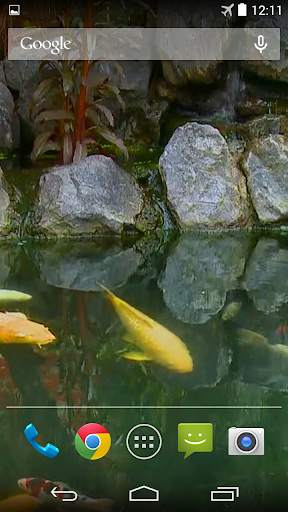 Koi Pond Video Live Wallpaper screenshot 5