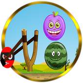 Angry Fruits Knockdown 3.0 1.0.1
