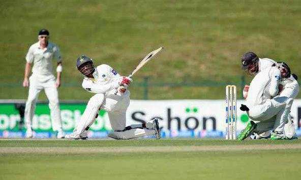 New Cricket Worldcup Zup screenshot 2
