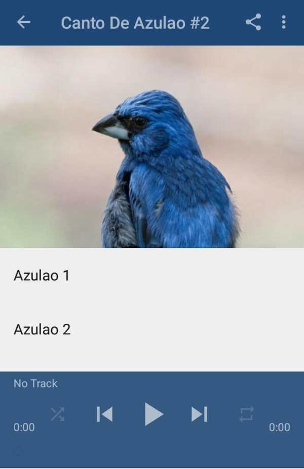 Canto De Azulao screenshot 4