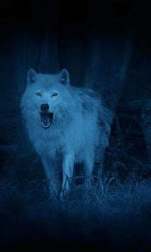 Wolves Night live wallpaper screenshot 3