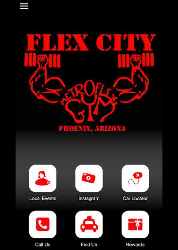Flex City screenshot 3
