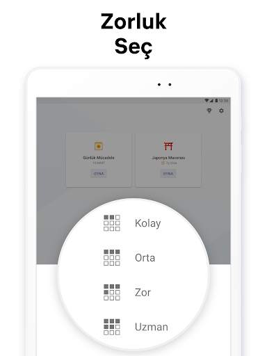 Kazık sudoku - sayı bulmacası screenshot 13
