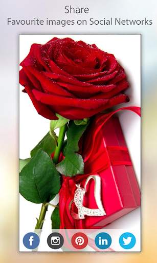 Rose Wallpapers HD screenshot 6