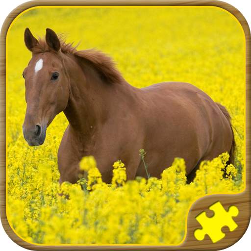 Horse Puzzles Free 57.0.0