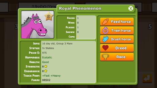 Hooves of Fire - Horse Racing screenshot 6