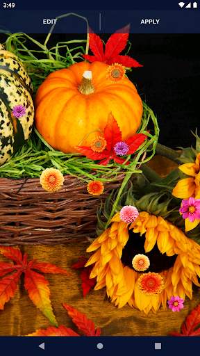 Autumn Flowers Live Wallpaper screenshot 4