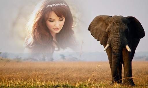 Animal Photo Frames HD screenshot 4
