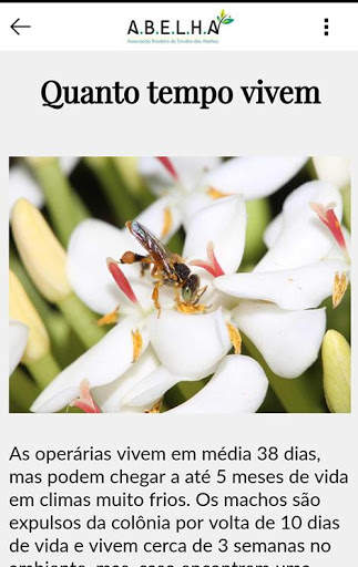 ABELHA App screenshot 5