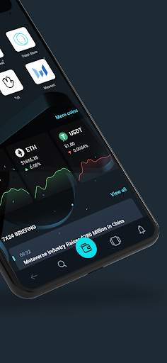 Opera Crypto Browser screenshot 2