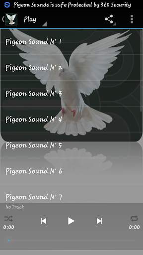 Pigeon sounds screenshot 1