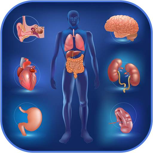 Human Anatomy and Physiology 1.0