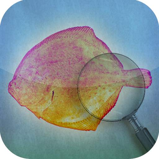Fishbook 1.0