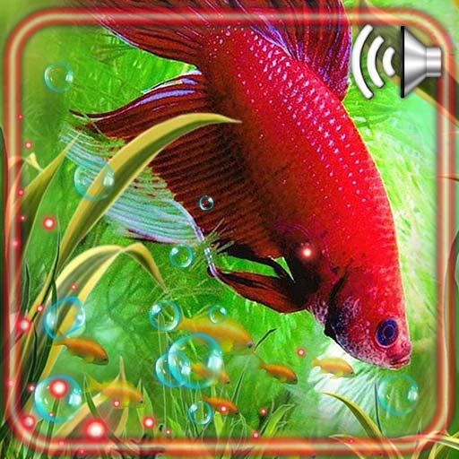 Aquarium World Live Wallpaper icon