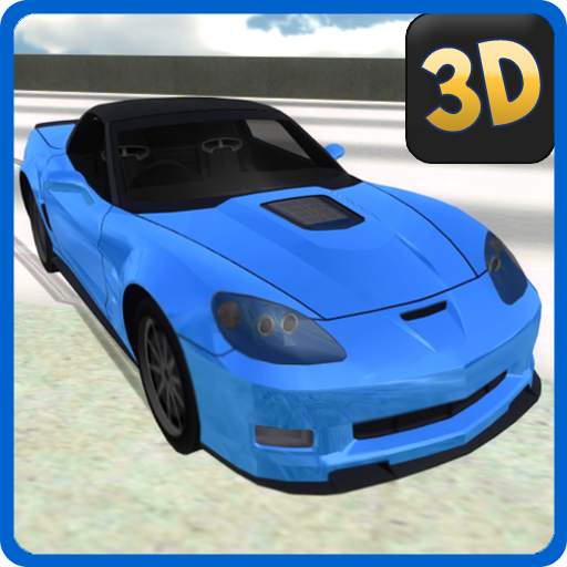 City Car Driving 2014 1.02