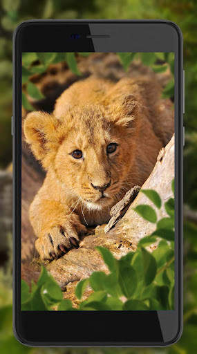 Lion King Jungle screenshot 2