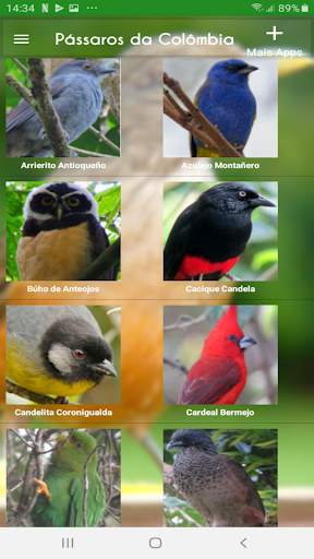 Pássaros da Colômbia screenshot 1