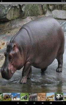 Wild Animals Sounds screenshot 6