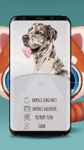 Animal Ringtones 2 تصوير الشاشة