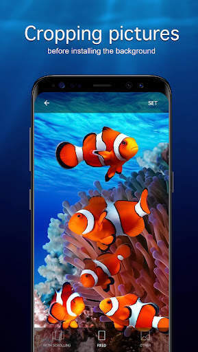 Underwater Wallpapers 4K screenshot 4