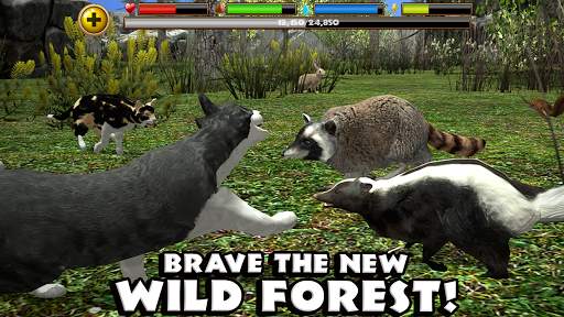Stray Cat Simulator screenshot 9