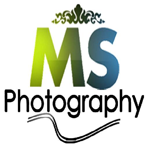 MS Photography - View & Share Photo Album 3.4