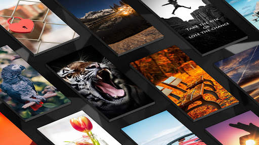 HD Wallpapers screenshot 5