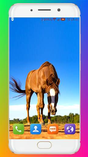 Horse Wallpaper HD screenshot 2
