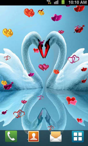 Love Birds Live Wallpaper screenshot 5