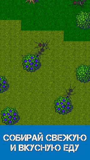 Ant Evolution - симулятор муравей скриншот 2
