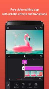 VideoLeep screenshot 4