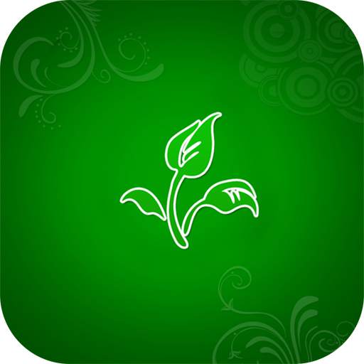 Floral wallpaper for whatsapp 1.0