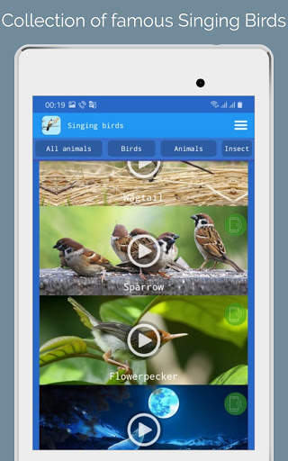 Singing Birds स्क्रीनशॉट 8