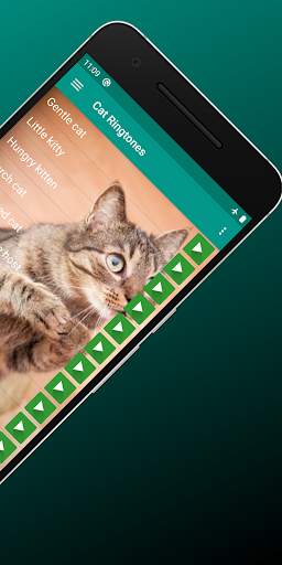 Cat Sounds Ringtones Purr screenshot 3