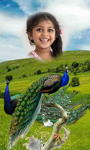 Peacock Photo Frames HD screenshot 5