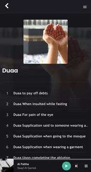 QURAN PRO screenshot 4