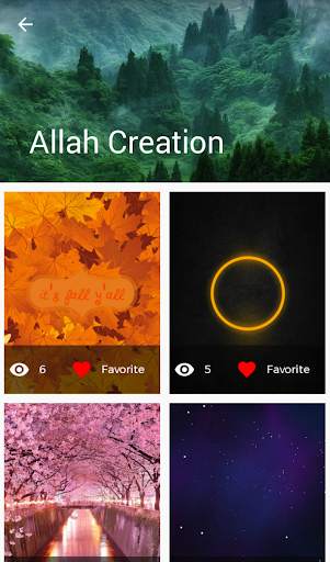 Islamic HD Wallpapers & Backgrounds screenshot 3