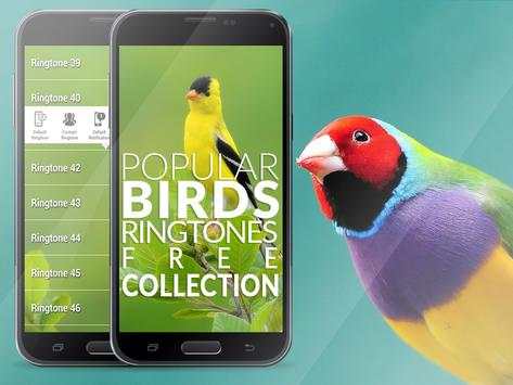 Birds Ringtones - Goldfinch स्क्रीनशॉट 1