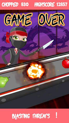 chop chop ninja slices screenshot 5
