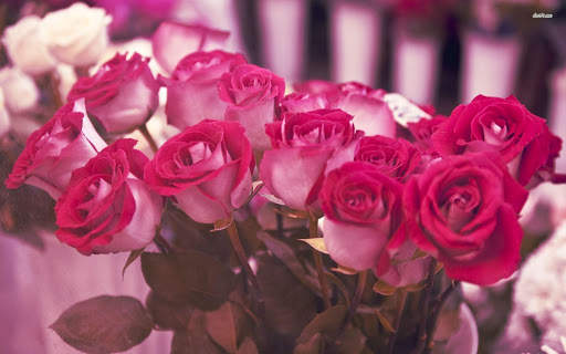 Red Rose Wallpapers screenshot 5