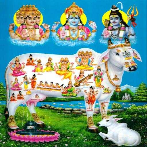 Gau Mata Aarti 1.3