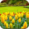 Garden wallpaper 1.09
