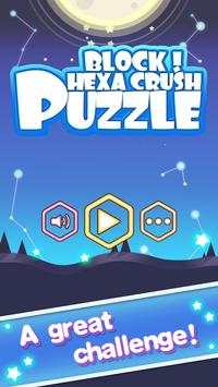 Block！Hexa Crush Puzzle screenshot 5