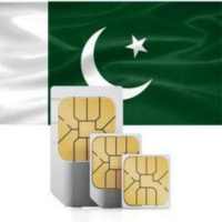 pakistan sim verification 2020