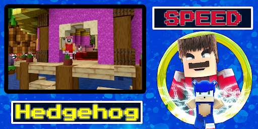 Hedgehog speed mod screenshot 2
