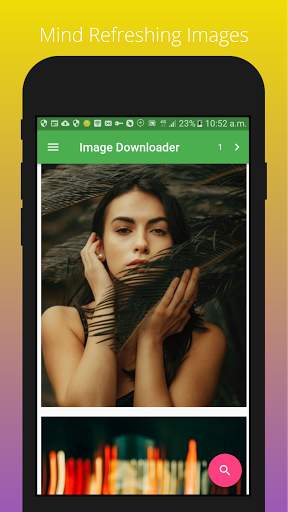 Image Downloader screenshot 1