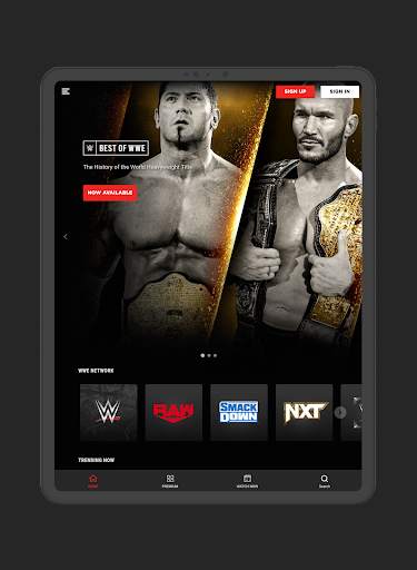 WWE screenshot 8
