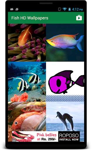 Fish HD Wallpaper screenshot 2