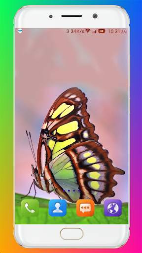 Butterfly Wallpaper HD screenshot 6