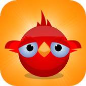 Junglee Bird 1.4